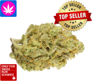 cbd super lemon haze kaufen