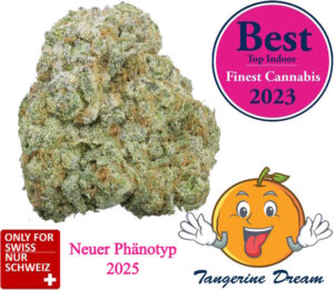 tangerine cbd