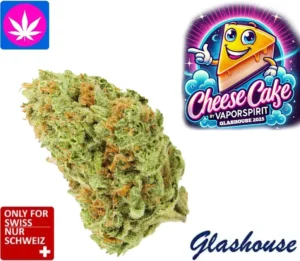 cheese cake cbd