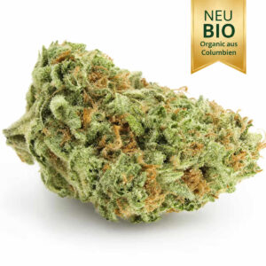 Amnesia Cheese Haze CBD-V Blüten
