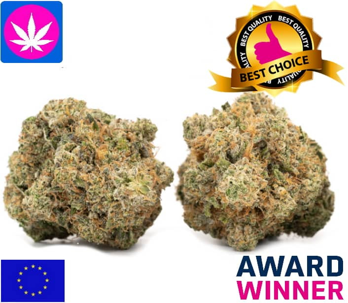 Gorilla Glue CBD Blüten – kompakte, harzreiche Cannabisblüten in Premium-Qualität