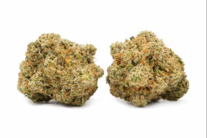 Gorilla Glue CBD Blüten – Detailansicht kompakter Blütenstruktur