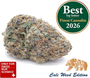 Runtz CBD