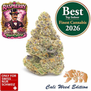 Raspberry CBD Blüten aus der Schweiz