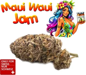 CBD Blüten Maui Waui