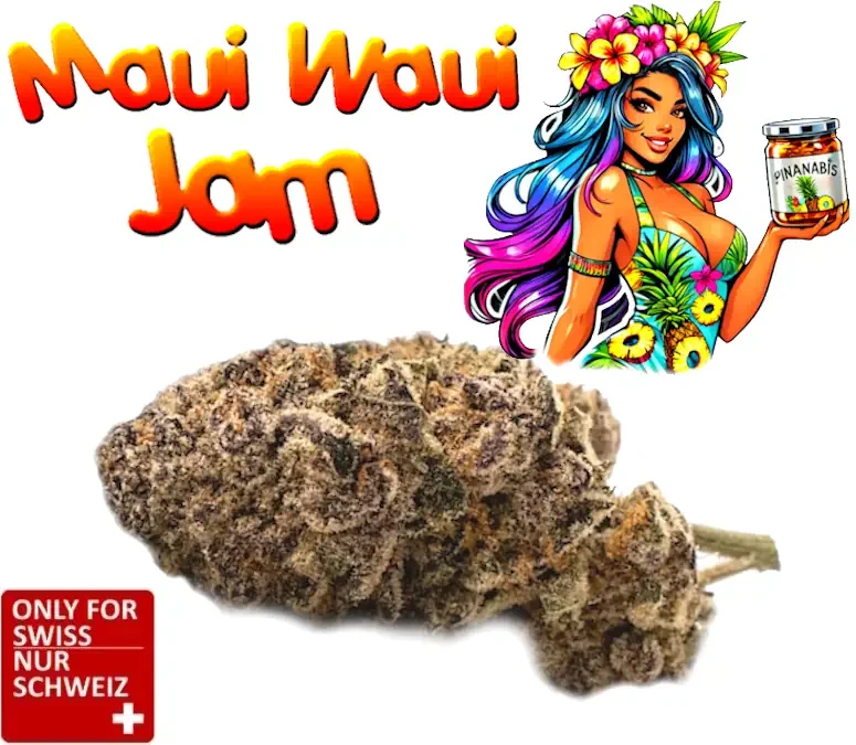 CBD Blüten Maui Waui