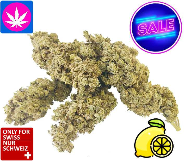 CBD Lemon Kush
