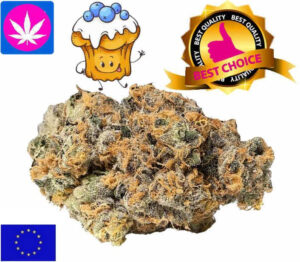 blueberry cbd