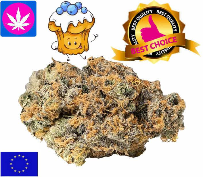blueberry cbd