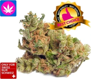 CBD Harlekin 1kg