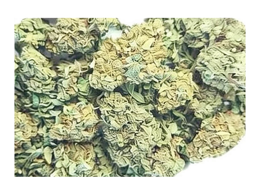 CBD Blüten Grossmengen